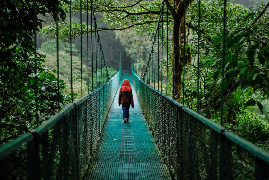 Ecotourism Market Set to Hit $829.8 Billion by 2035, Expanding at an 11.7% CAGR