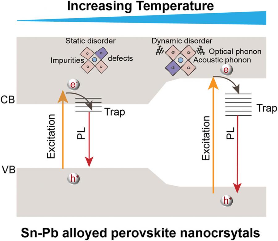 Revealing the hidden enemies of light in perovskite materials